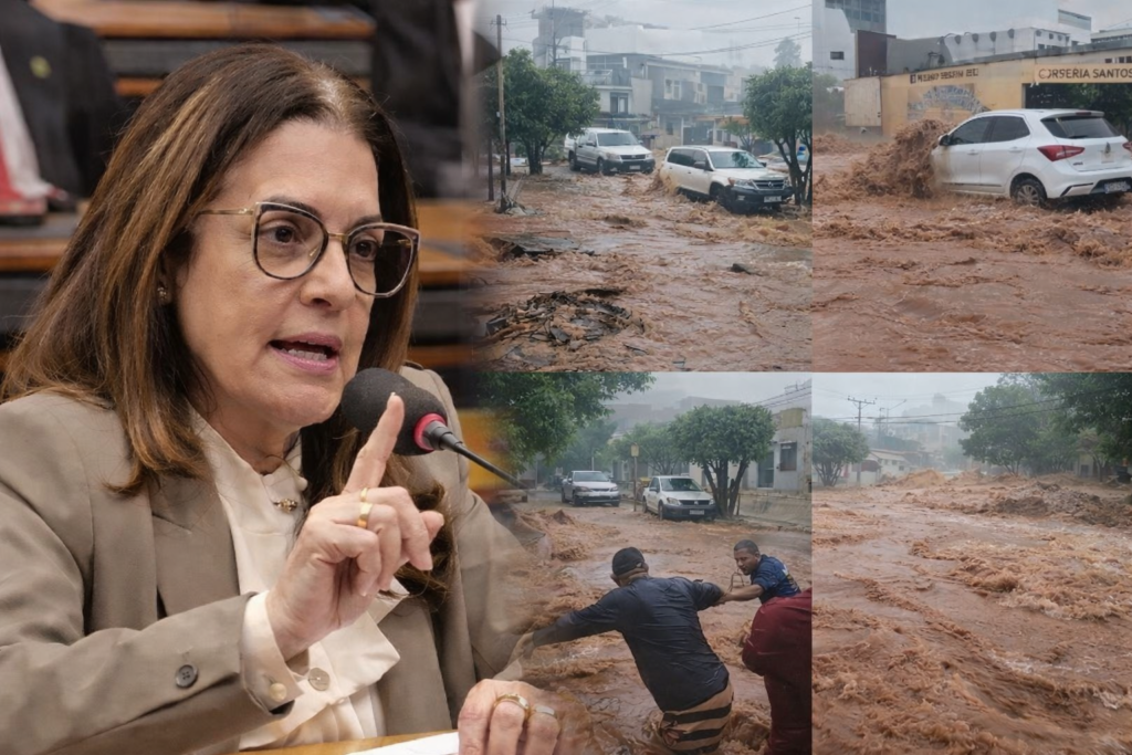 Rogéria Santos solicita recursos federais e cobra informações sobre ações diante das enchentes em cidades da Bahia
